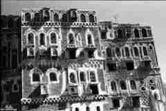 ���� ������ ��� ��� ����